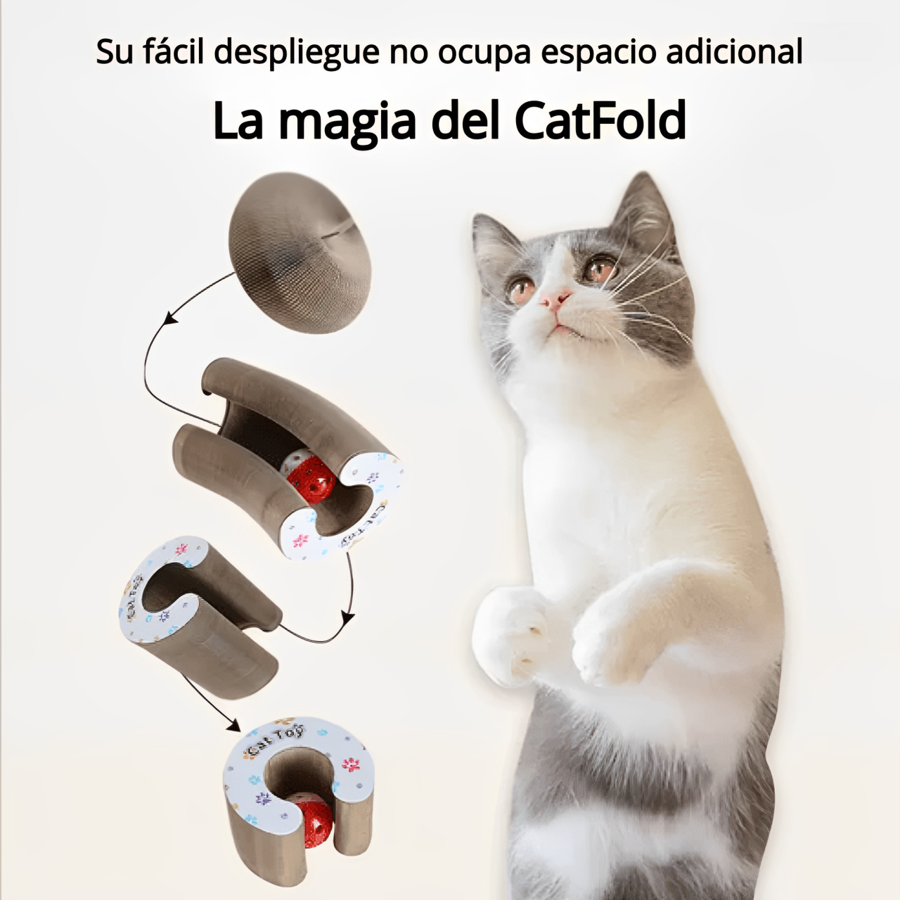 CatFold
